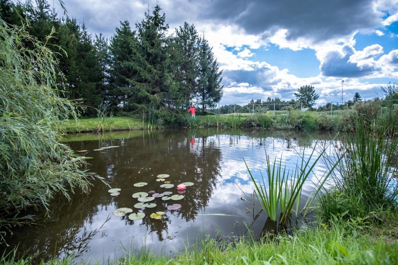 Villa Maly Kaletnik Esterno foto